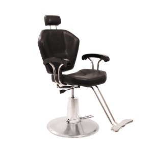 Barber / Salon Chair